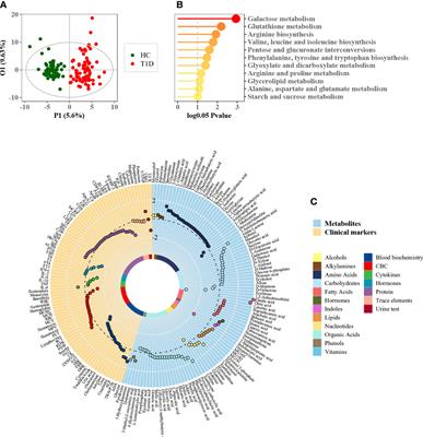 Untargeted metabolomics reveals gender- and age- independent metabolic changes of type 1 diabetes in Chinese children